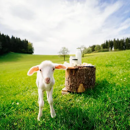Biohof Abraham - Hofkaeserei Lägenhet