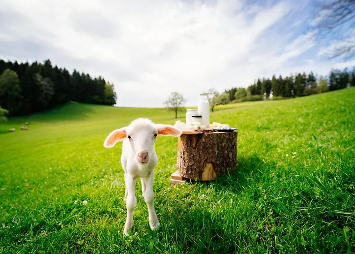 Biohof Abraham - Hofkaeserei 公寓